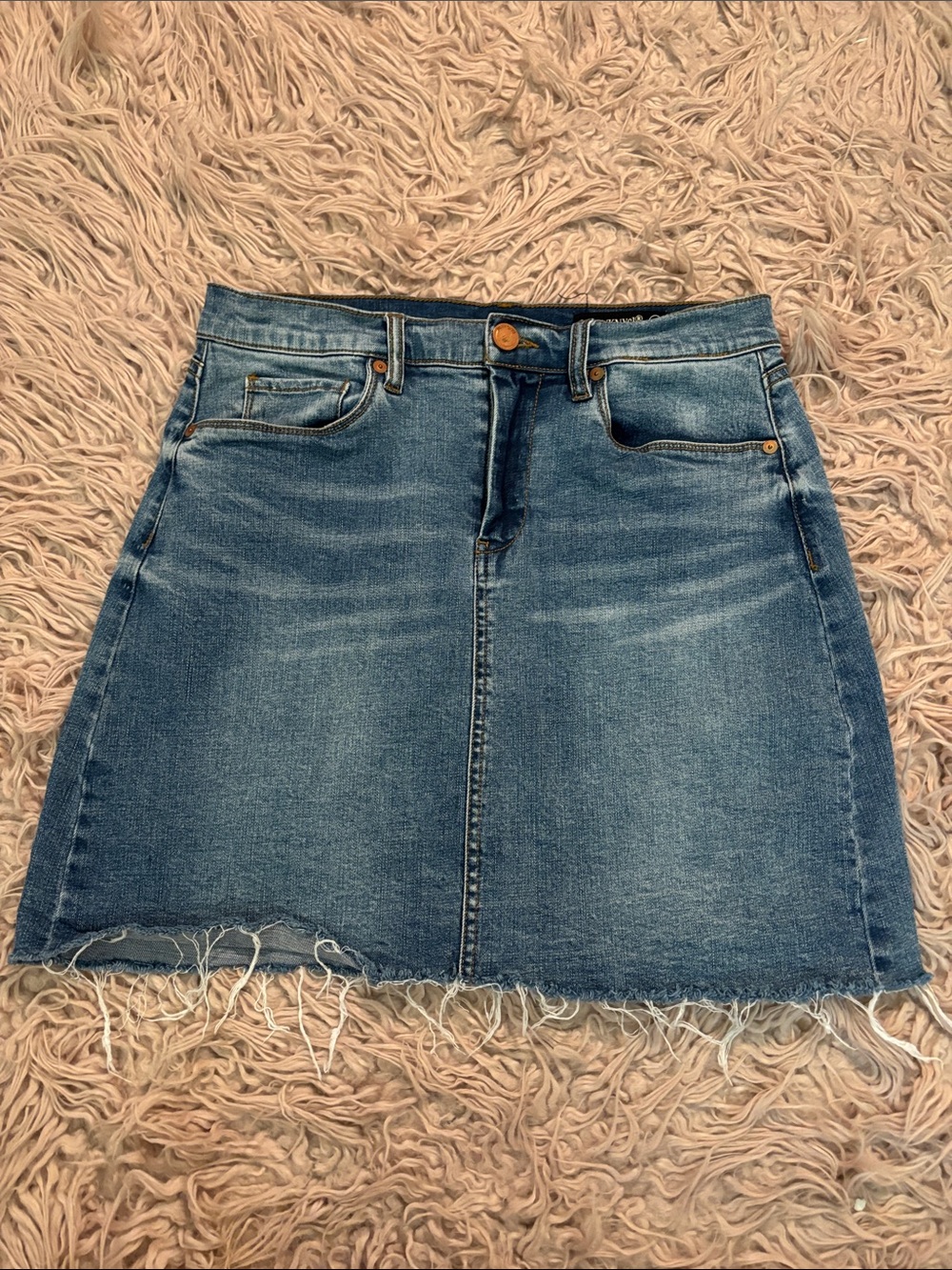 BlankNYC Frayed Raw Hem Denim Skirt
